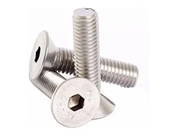 SS 304 Allen Bolts